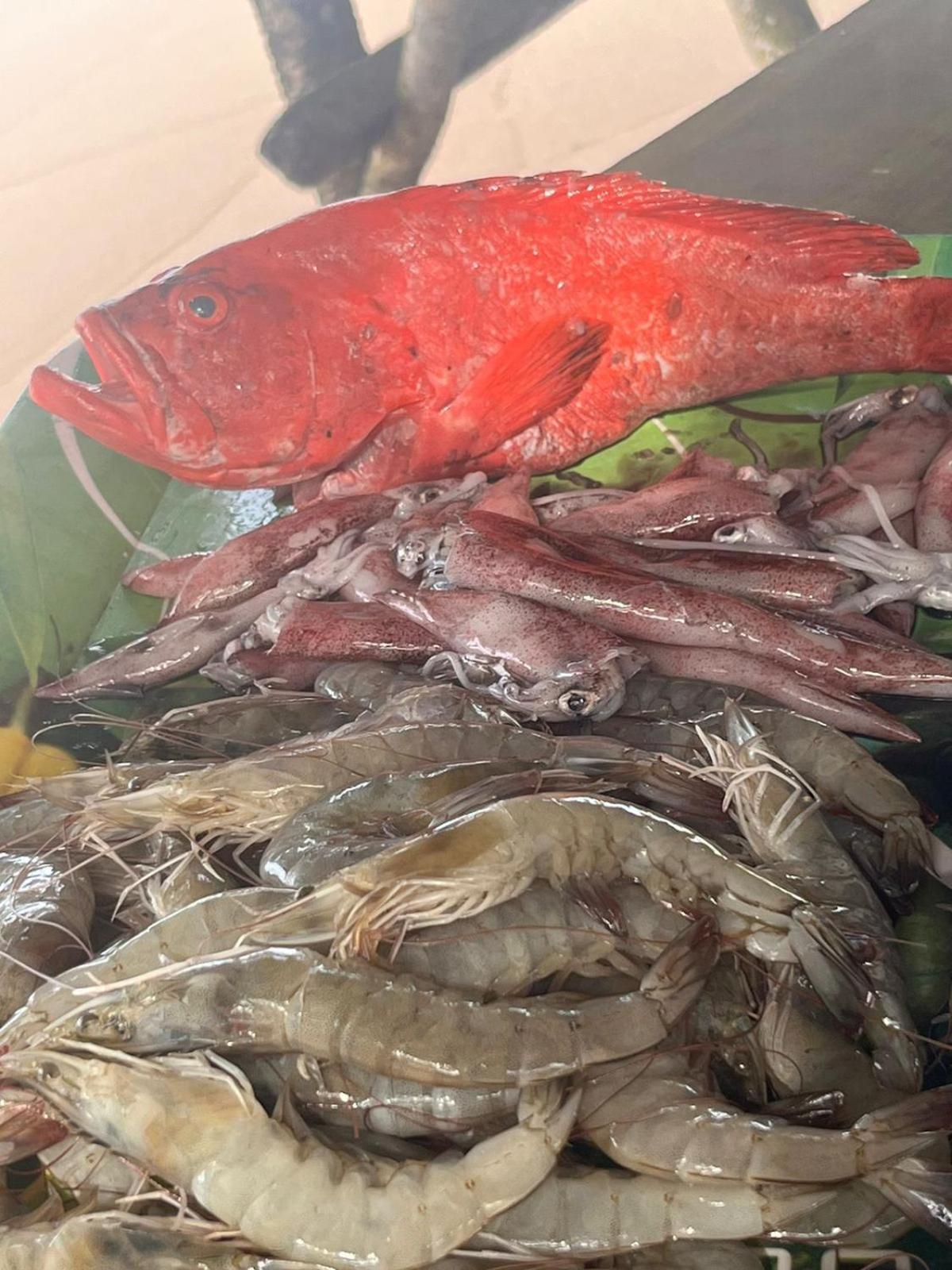 Sooriya Villa 陶尔佩 外观 照片